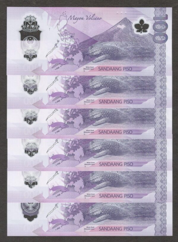Lot 6 Pcs Philippines 100 Pesos Peacock Polymer Last 3 Digit Same 2024 UNC - Image 2