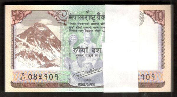 Lot 100 Pcs 1 Bundle Nepal 10 Rupees Deer 2017 UNC Taken from Brick