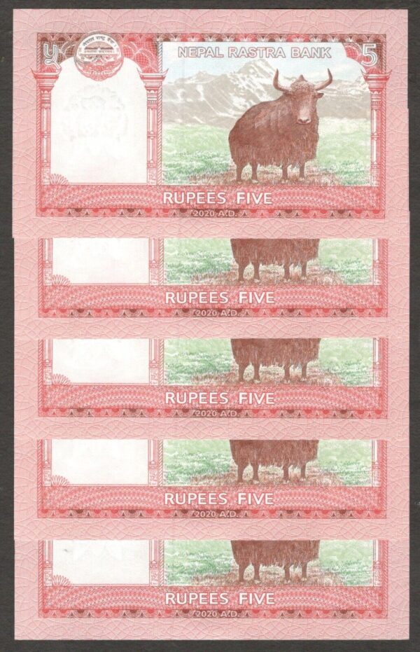 Lot 5 Pcs Nepal 5 Rupees Yak 2020 UNC - Image 2