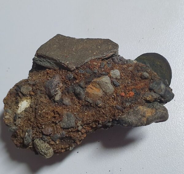 Netherlands Indies VOC Gelderl Indonesia 1/2 Duit Fossil 17XX Ex Batavia Canal - Image 2