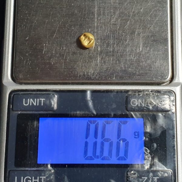 Shailendra Dynasty Indonesia 1/4 Gold Massa Kupang 0.66 gr ca 9th-12th C. Fine - Image 3