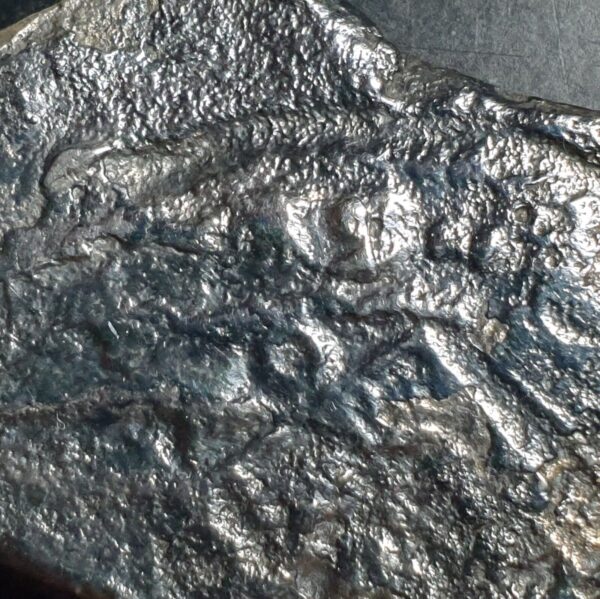 Spanish Mexico 8 Reales Silver COB 1732 Felipe V Ex Shipwreck - Image 3