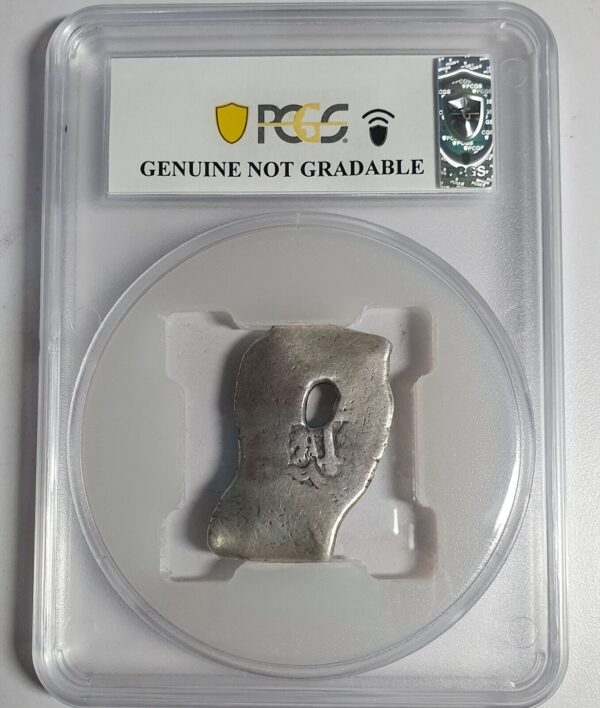 Mexico 8 Reales COB Bubble Error 1556 - 1667 PCGS Good Detail Oversize Holder - Image 4
