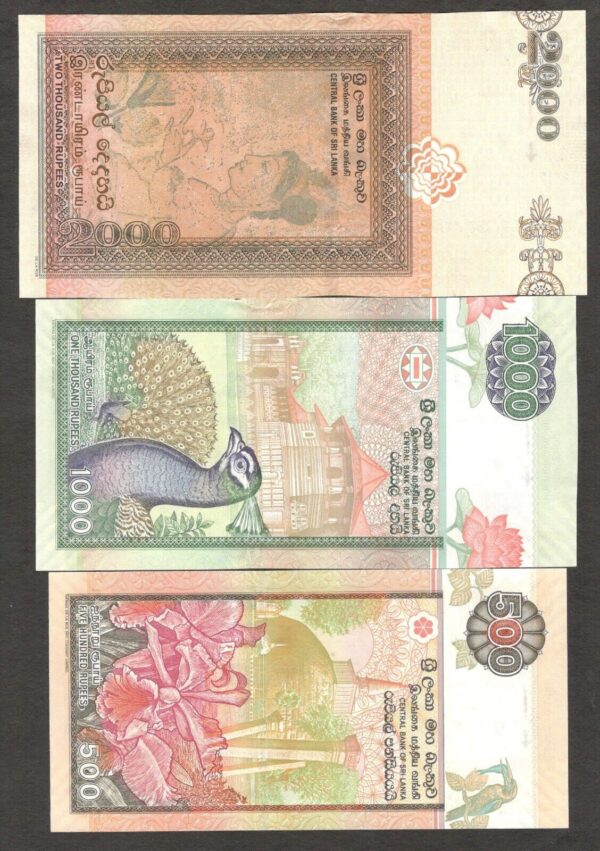 Full Set 7 Pcs Sri Lanka 10 20 50 100 500 1000 2000 Rupees 2004 - 2006 UNC - Image 4