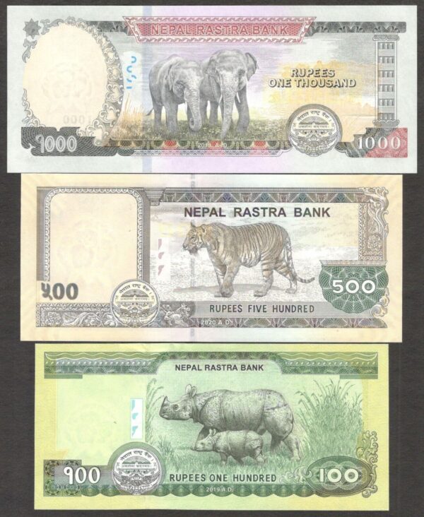 Full Set 7 Pcs Nepal 5 10 20 50 100 500 1000 Rupees 2019 - 2020 UNC - Image 4