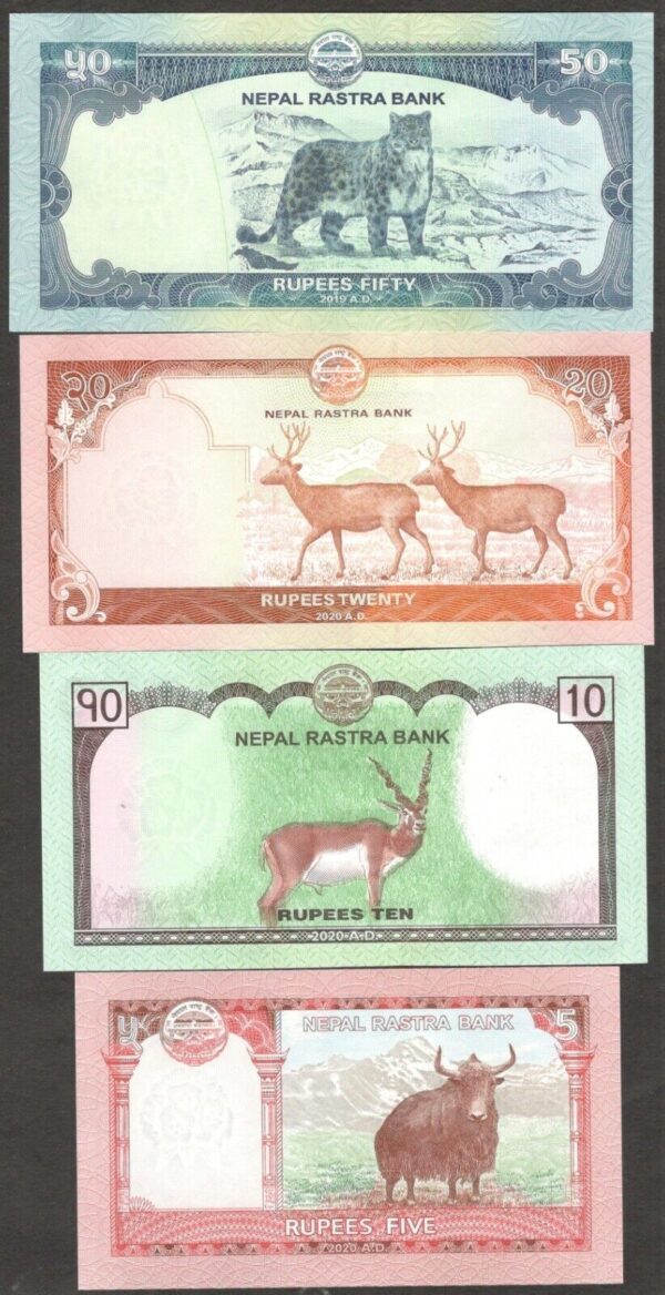 Full Set 7 Pcs Nepal 5 10 20 50 100 500 1000 Rupees 2019 - 2020 UNC - Image 6