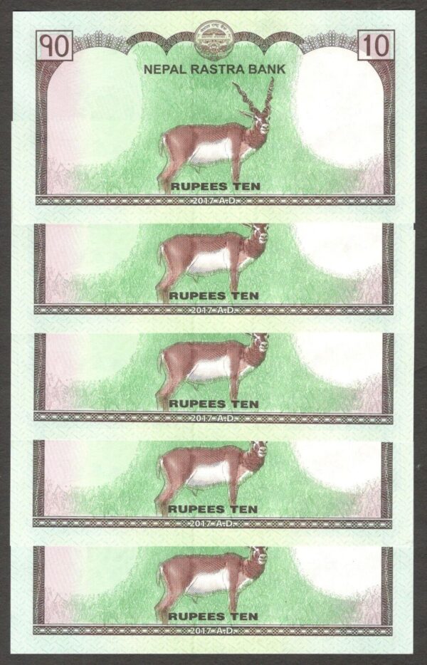Lot 5 Pcs Nepal 10 Rupees Deer 2017 UNC - Image 2