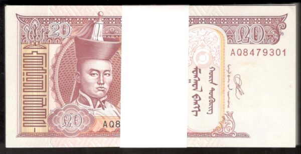 Lot 100 Pcs 1 Bundle Consecutive Mongolia 20 Tugrik Togrog P-63 2020 UNC