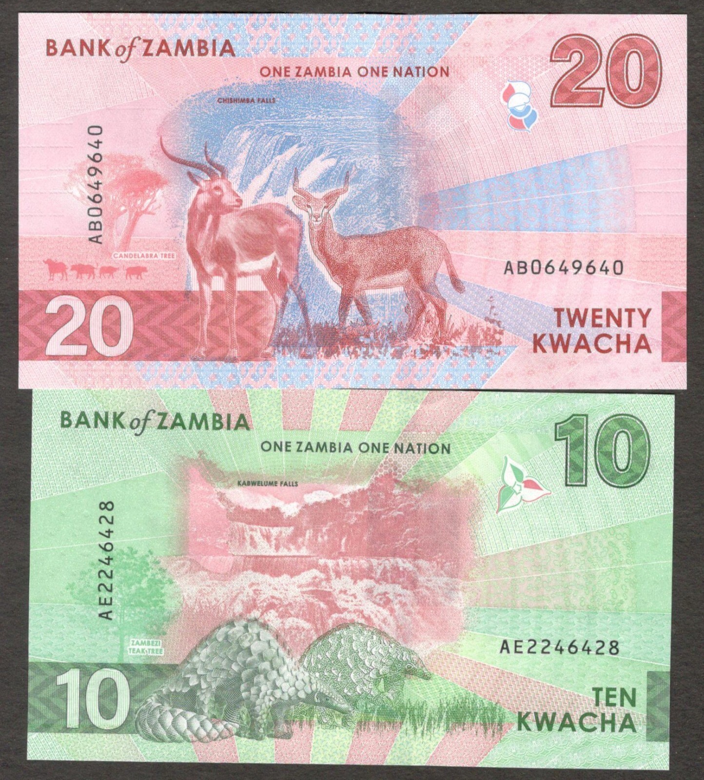 Set 2 Pcs Zambia 10 20 Kwacha Animal Hybrid P-62 63 2024 UNC - Image 2