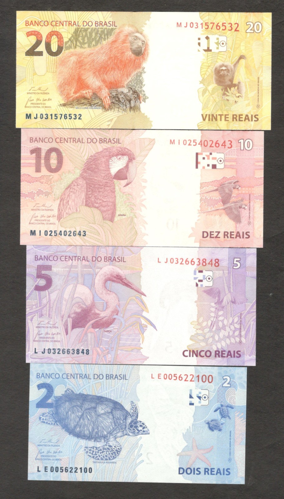 Brazil Set 4 Pcs 2 5 10 20 Animal Series P-252 P-253 P-254 P-255 2010 UNC - Image 2