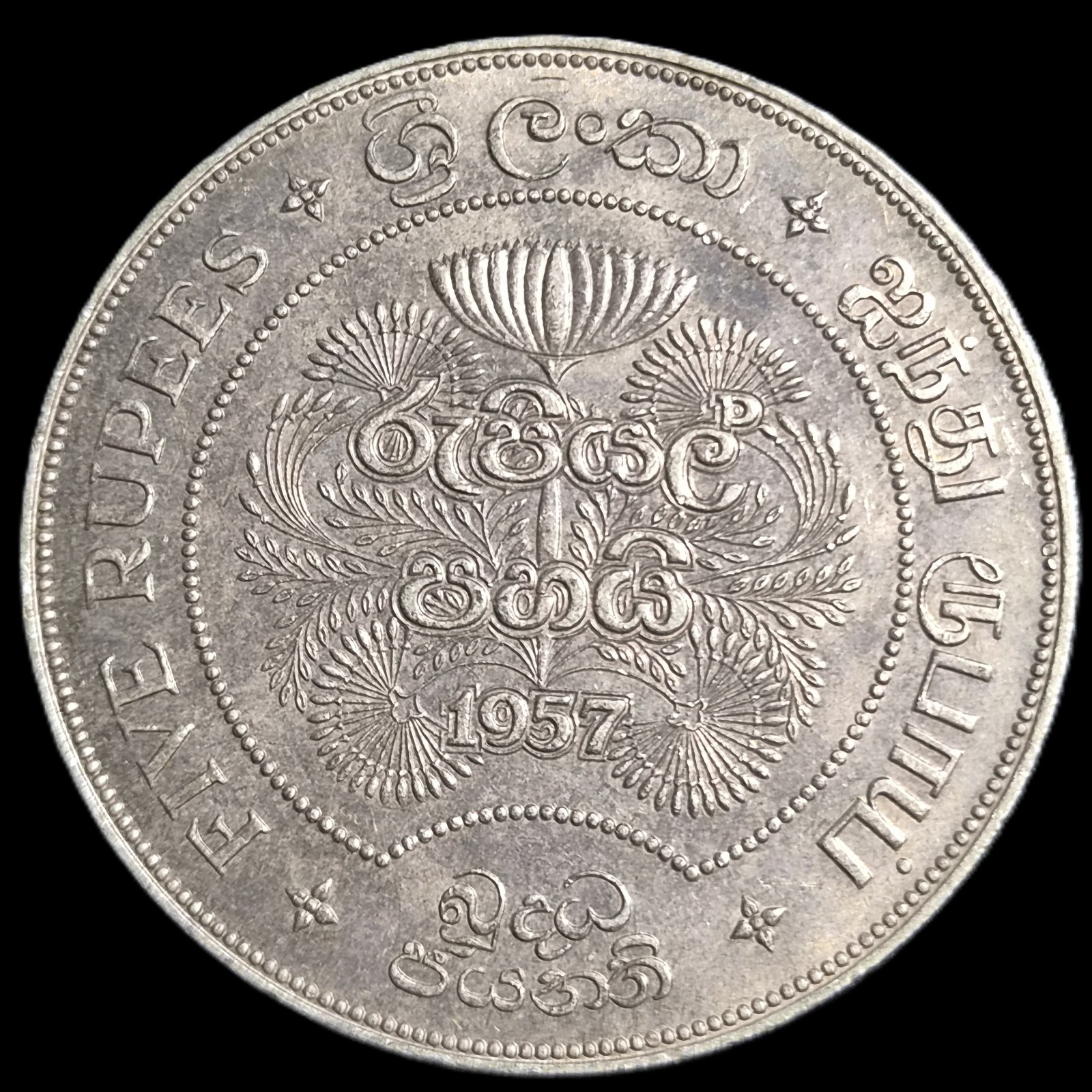 Sri Lanka Ceylon 5 Rupees Commemorative 2500 Years of Buddhism Silver 1957 aUNC - Image 2