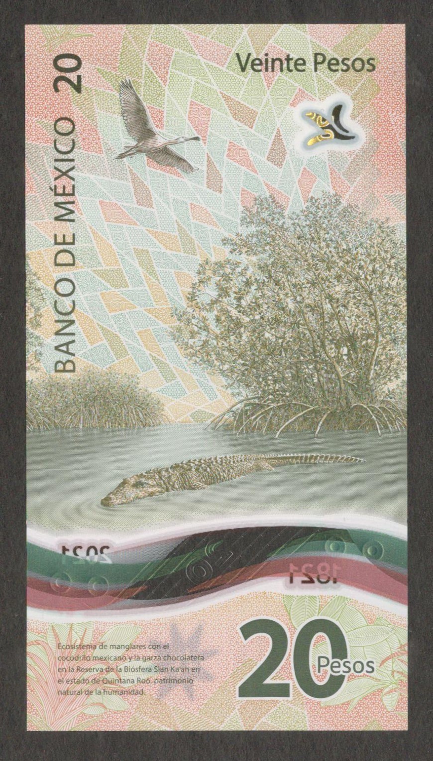 Mexico 20 Pesos Polymer Commemorative Nacional Independence P-132 2022 UNC - Image 2