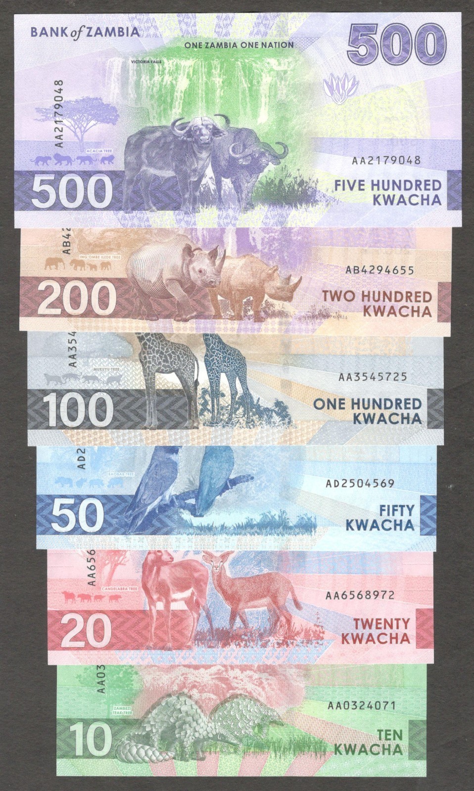 Zambia Full Set 6 Pcs 10 20 50 100 200 500 Kwacha P-62 63 64 65 67 2024 2025 UNC - Image 2