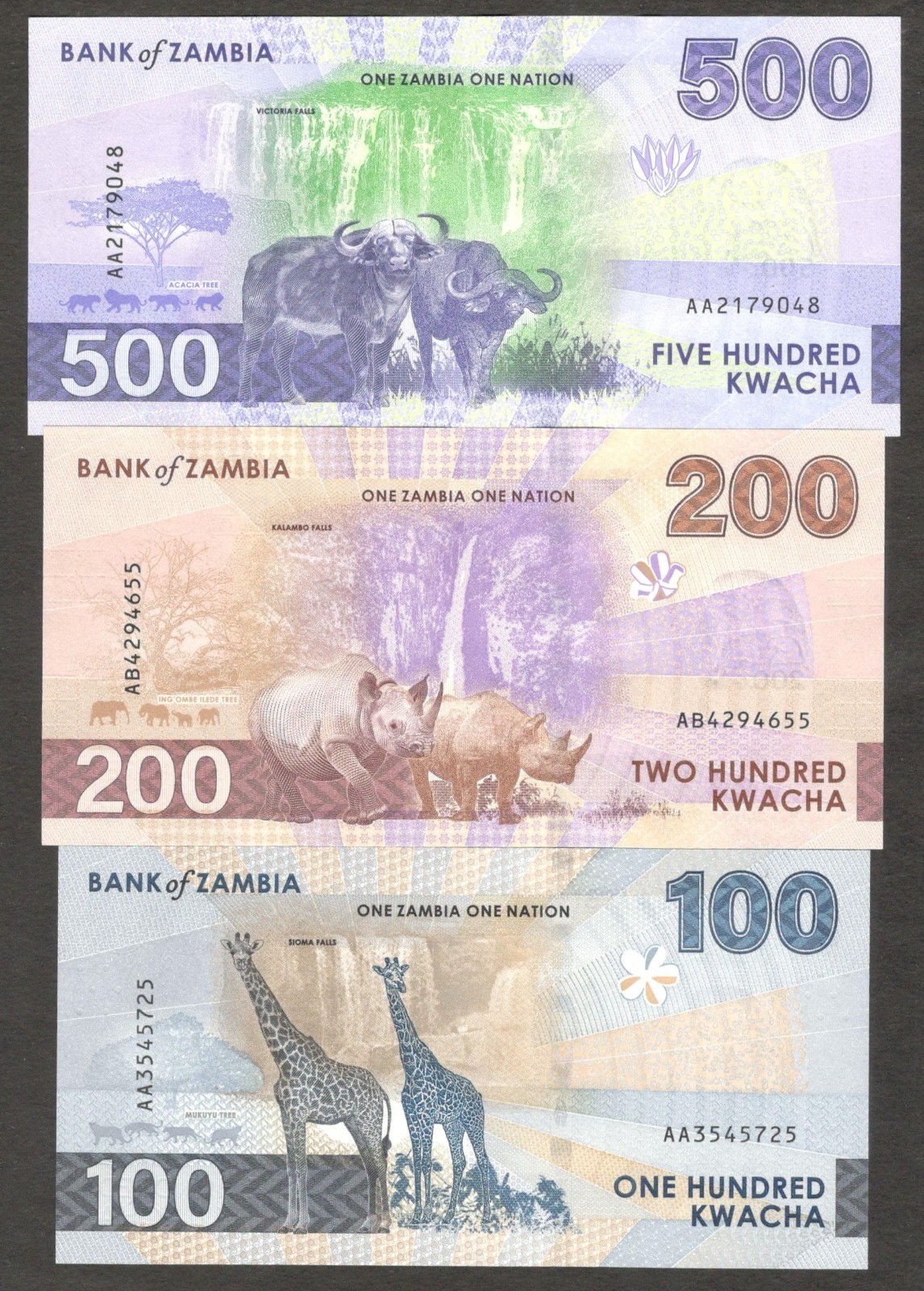 Zambia Full Set 6 Pcs 10 20 50 100 200 500 Kwacha P-62 63 64 65 67 2024 2025 UNC - Image 4