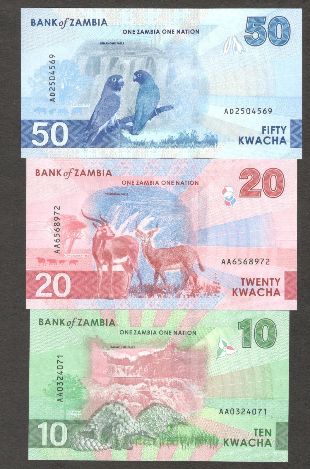 Zambia Full Set 6 Pcs 10 20 50 100 200 500 Kwacha P-62 63 64 65 67 2024 2025 UNC - Image 6