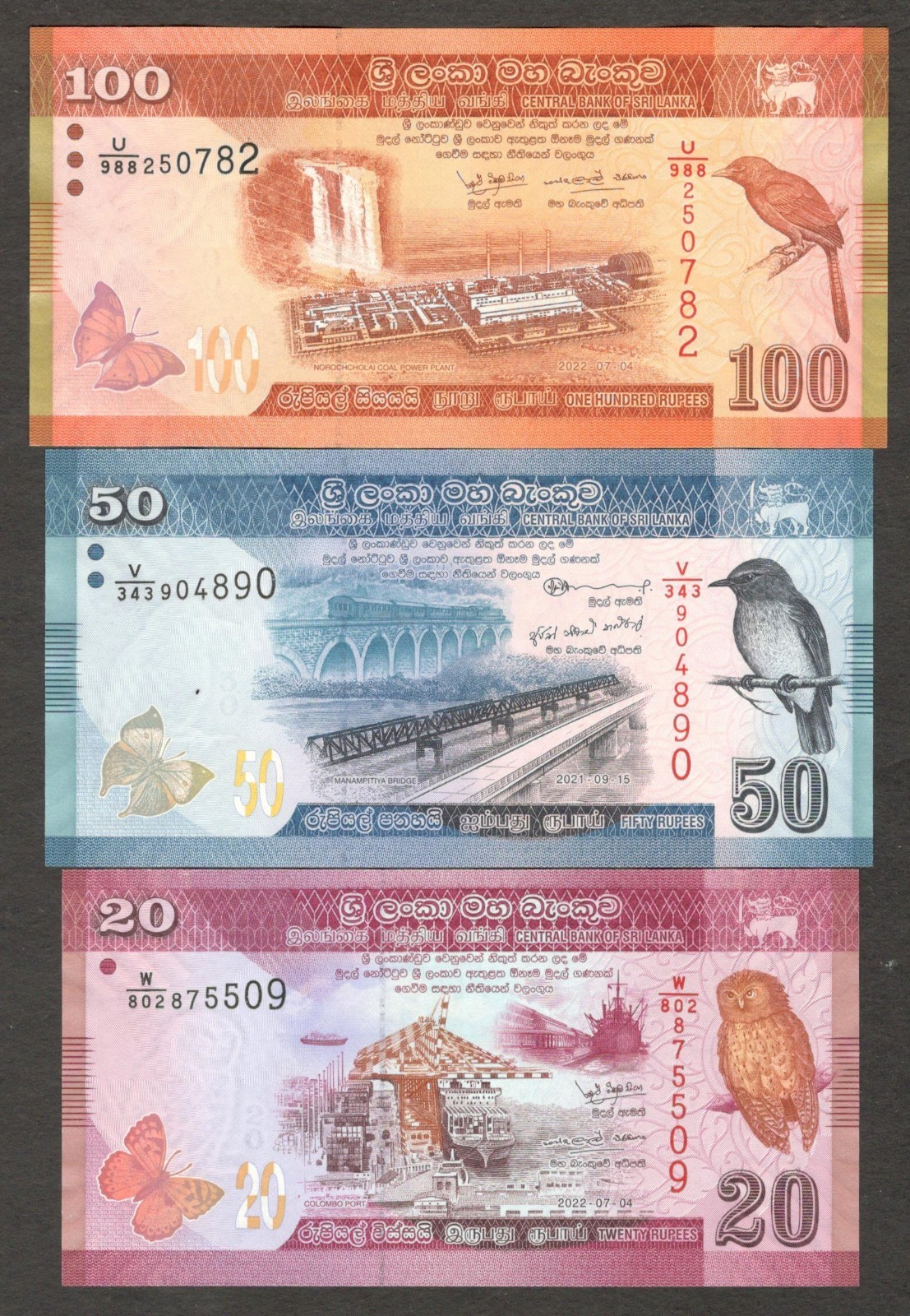 Sri Lanka Set 3 Pcs 20 50 100 Rupees Bird Colorful P-123 124 125 2022 Random UNC